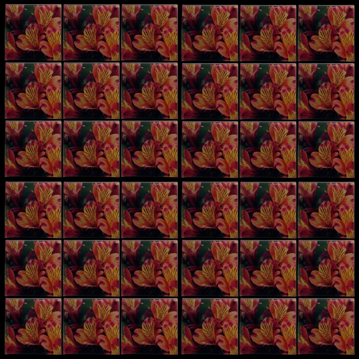 Flower 24 • 4”x 4” Epoxy Wall Tiles (36x Tiles)