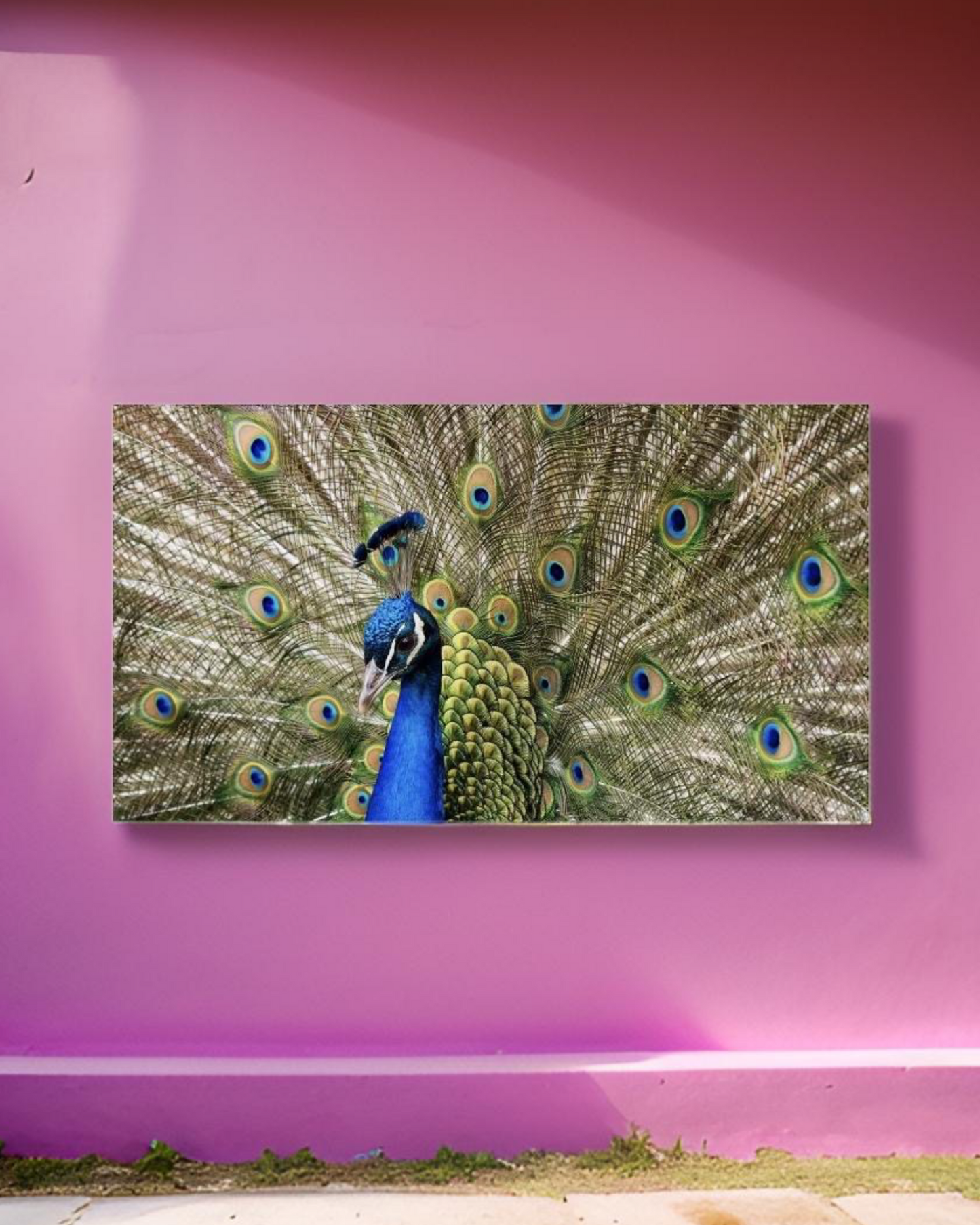 Peacock 01 • 12”x 24” Epoxy Wall Tiles (1x Tile)