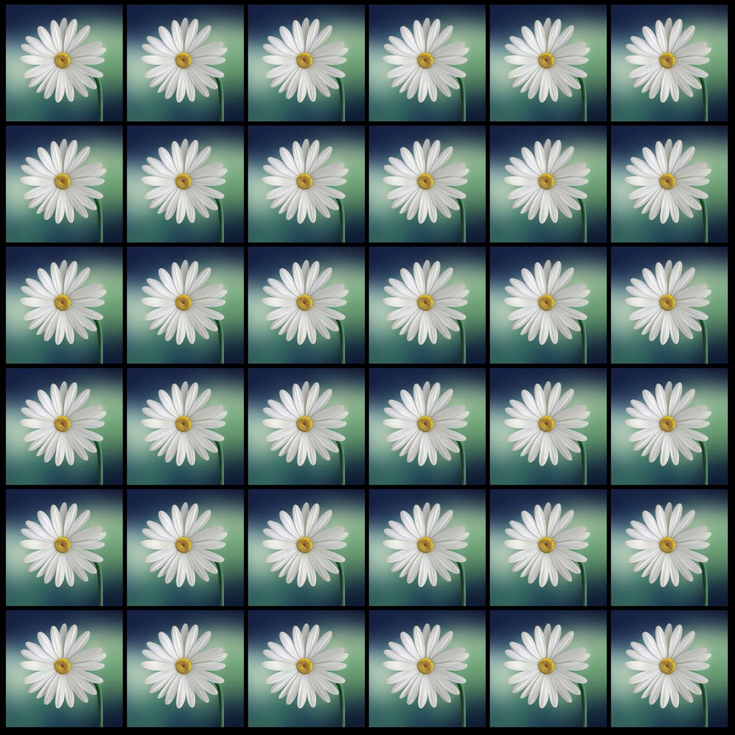 Daisy Flower • 4”x 4” Epoxy Wall Tiles (36x Tiles)