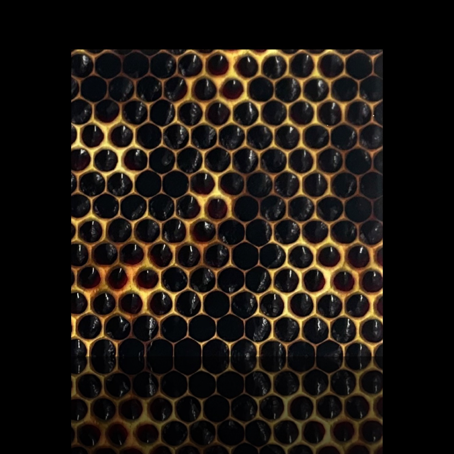 Honeycomb • 12”x 12” Tiles • Ceramic Wall Art