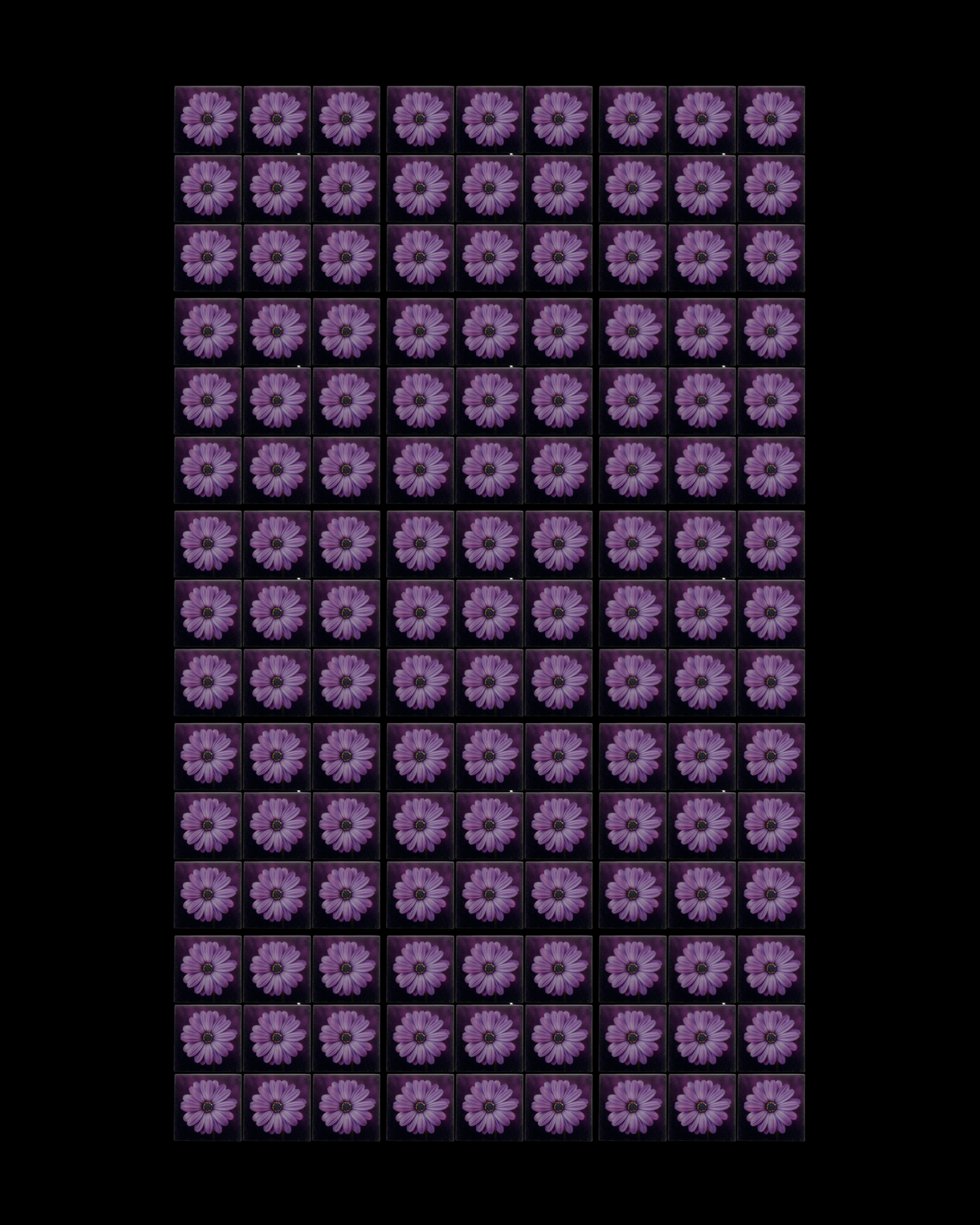 Purple Daisy • 4”x 4” Epoxy Wall Tiles