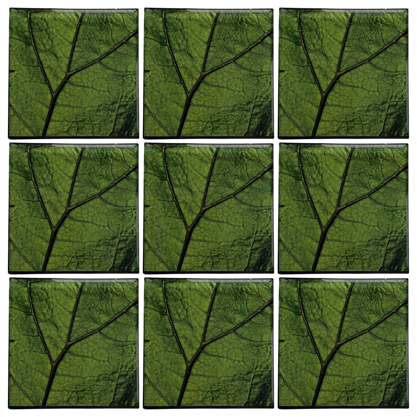 Leaf Zoom • 4”x 4” Tiles • Ceramic Wall Art