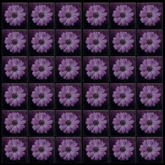 Purple Daisy • 4”x 4” Epoxy Wall Tiles (36x Tiles)