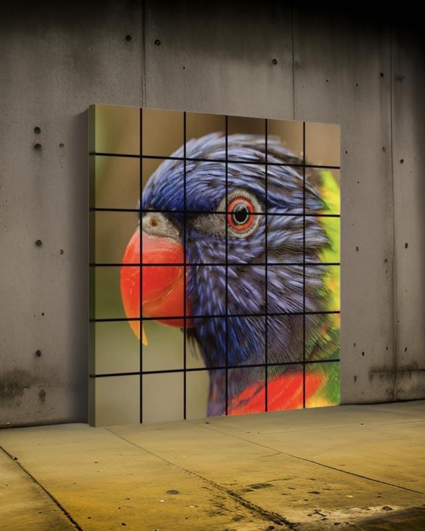 Parrot 03 • 24”x 24” Epoxy Mosaic (36x Tiles)