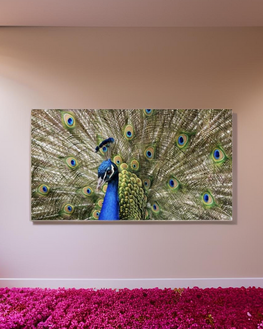 Peacock 01 • 12”x 24” Epoxy Wall Tiles (1x Tile)