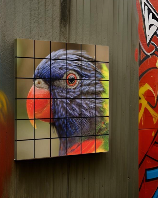 Parrot 03 • 24”x 24” Epoxy Mosaic (36x Tiles)