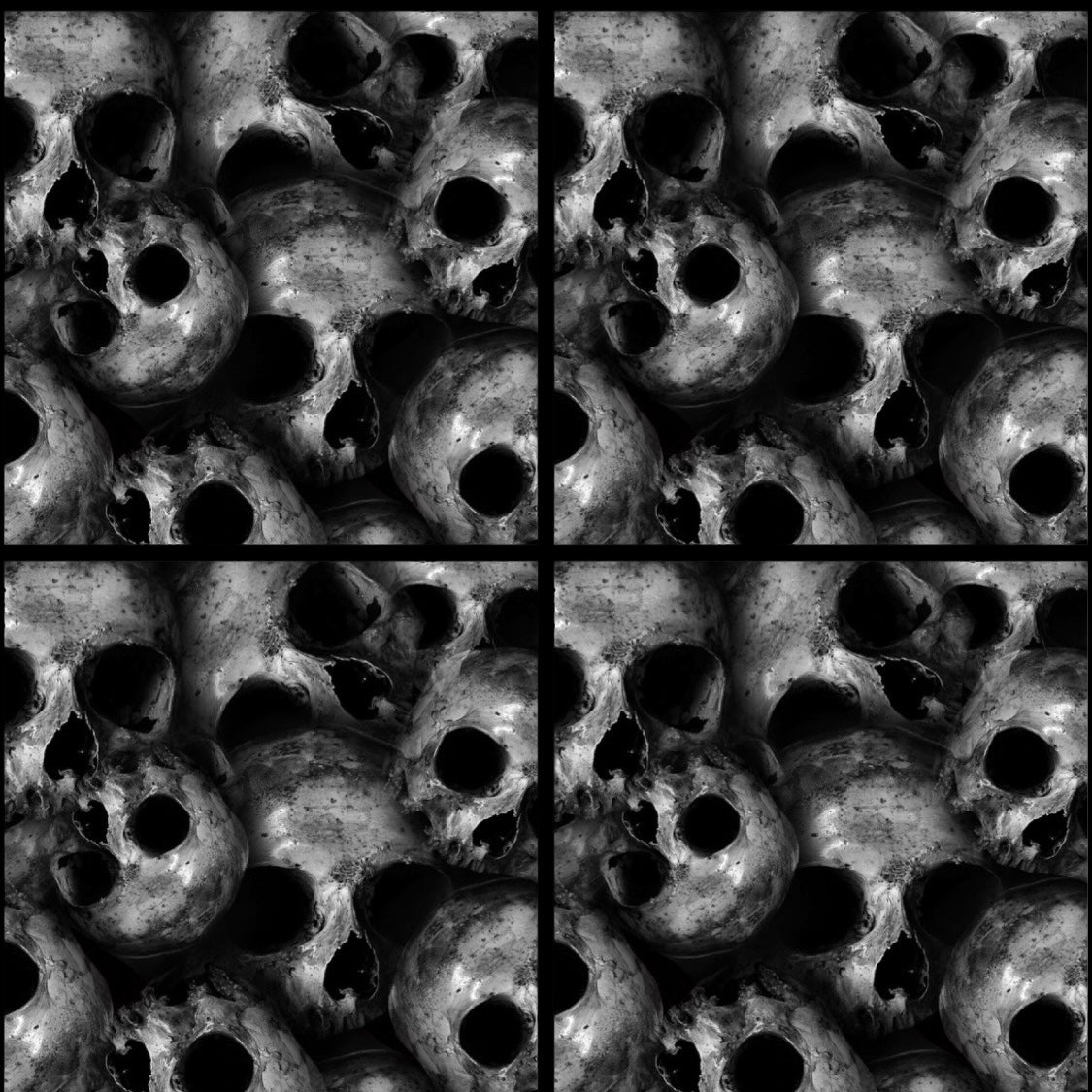 Black Skulls • 12”x 12” Epoxy Wall Tiles Tiles (4x Tiles)