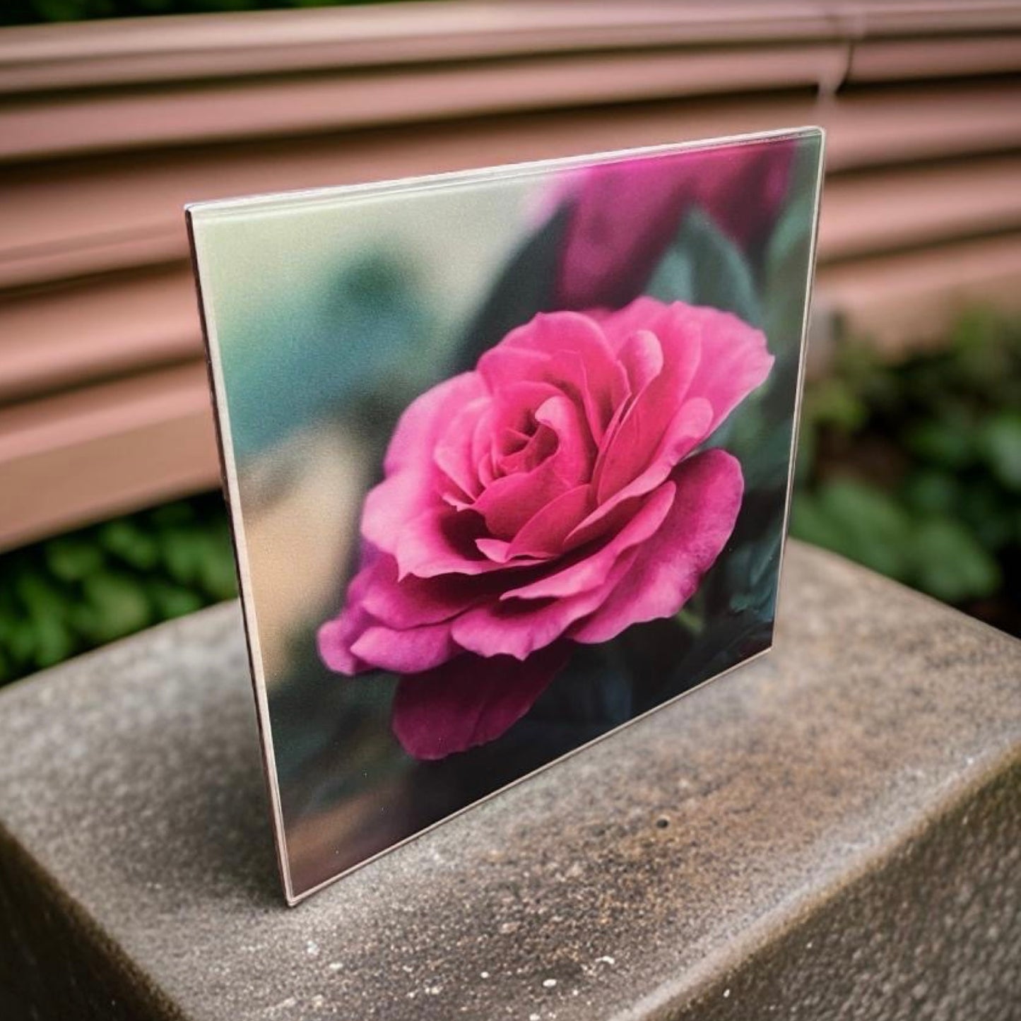 ROSE 08 • 12”x 12” Tiles • Ceramic Wall Art