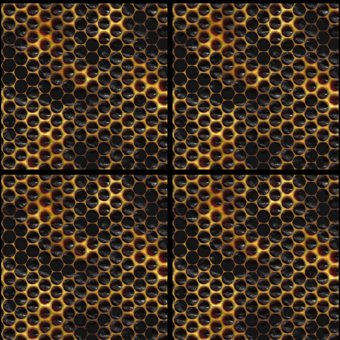 Honeycomb • 12”x 12” Epoxy Wall Tiles Tiles (4x Tiles)