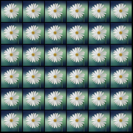 Daisy Flower • 4”x 4” Epoxy Wall Tiles (36x Tiles)