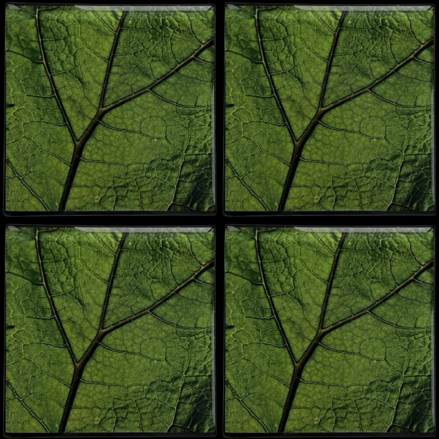 Leaf Zoom • 12”x 12” Epoxy Wall Tiles Tiles (4x Tiles)