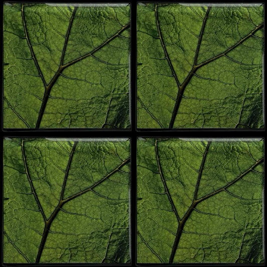 Leaf Zoom • 12”x 12” Epoxy Wall Tiles Tiles (4x Tiles)