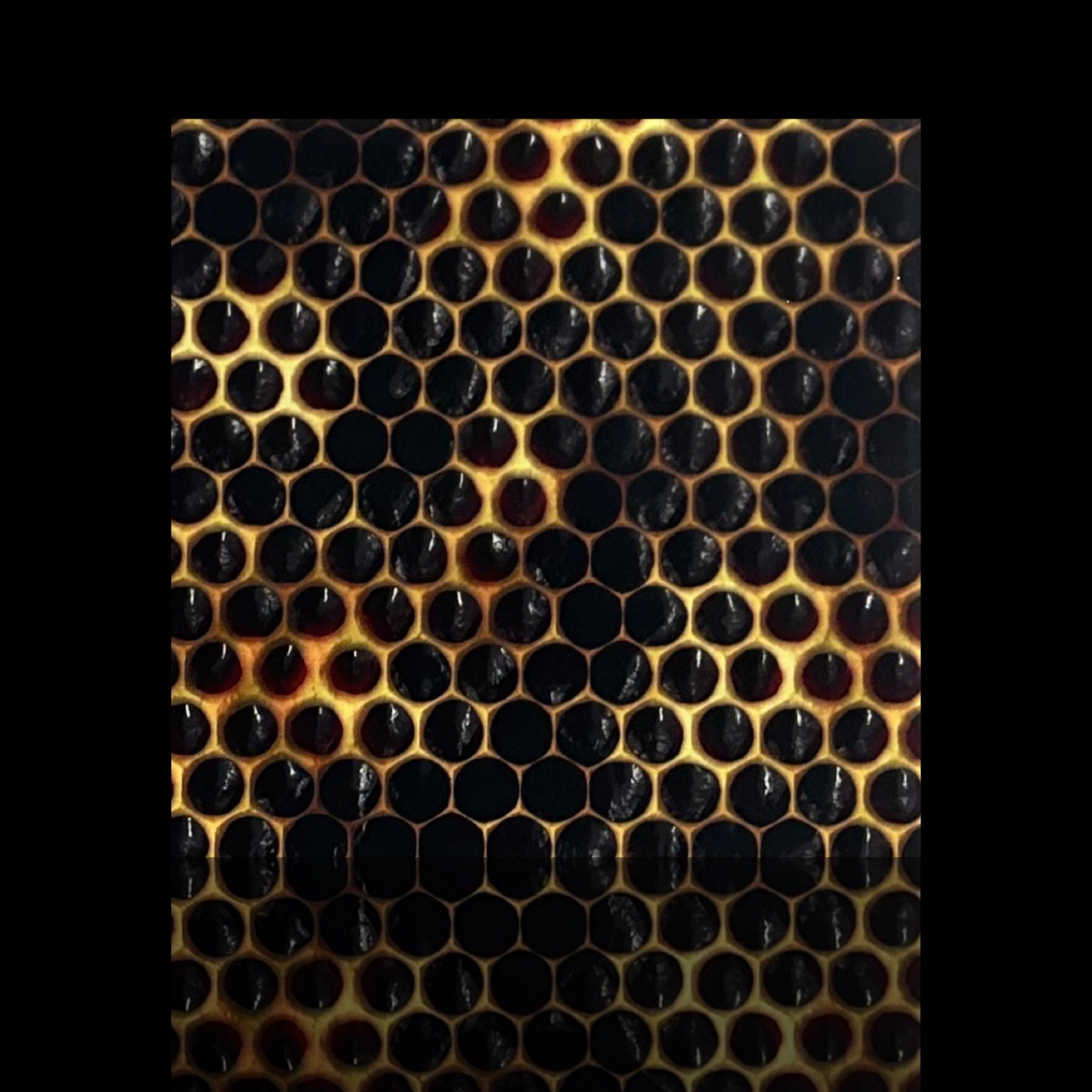 Honeycomb • 12”x 12” Tiles • Ceramic Wall Art