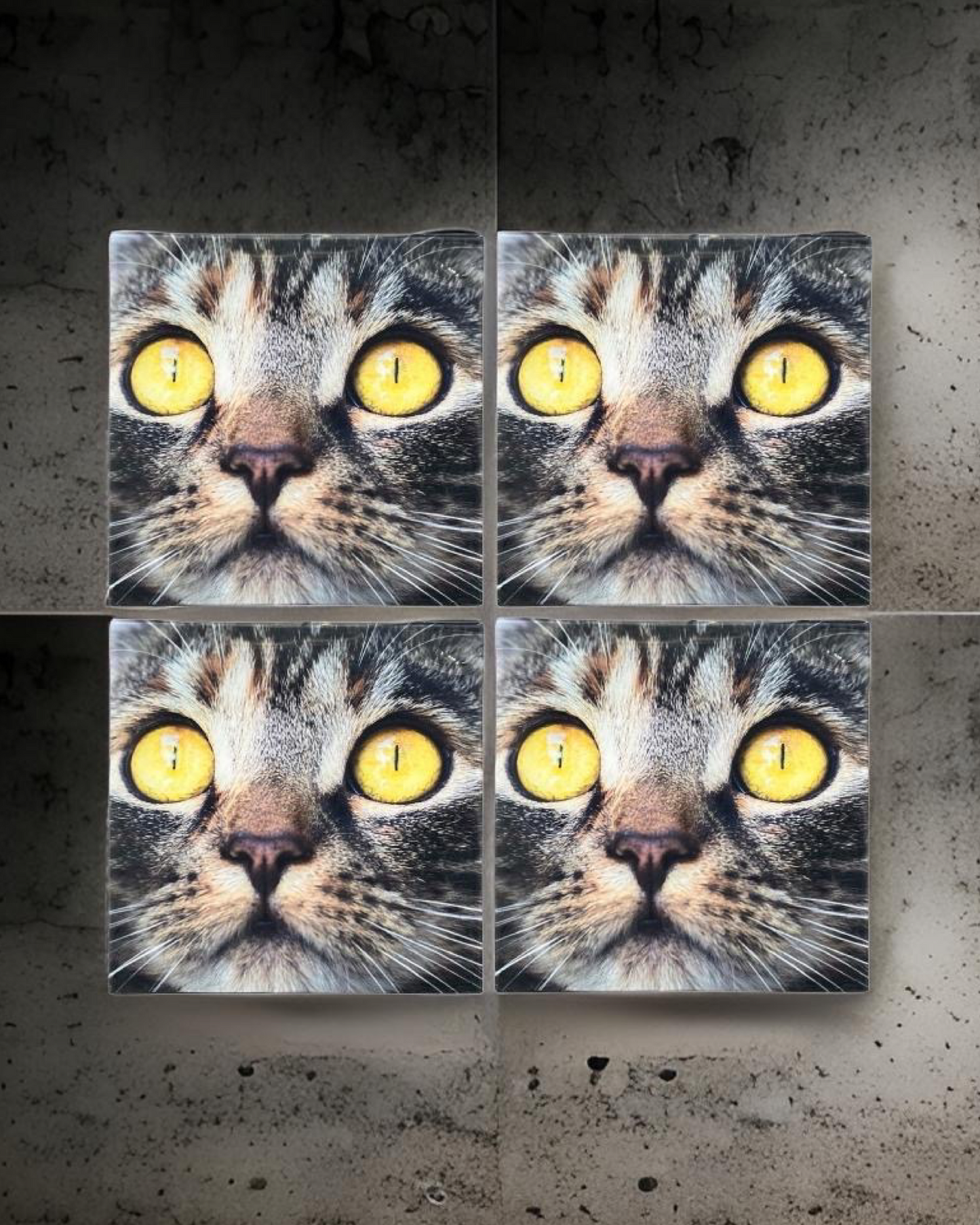 Cat 11 • 12”x 12” Epoxy Wall Tiles Tiles (4x Tiles)