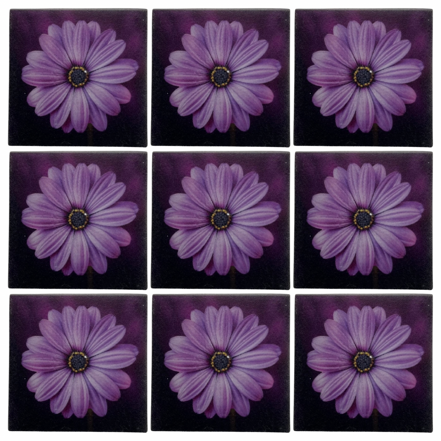 Purple Daisy • 4”x 4” Tiles • Ceramic Wall Art